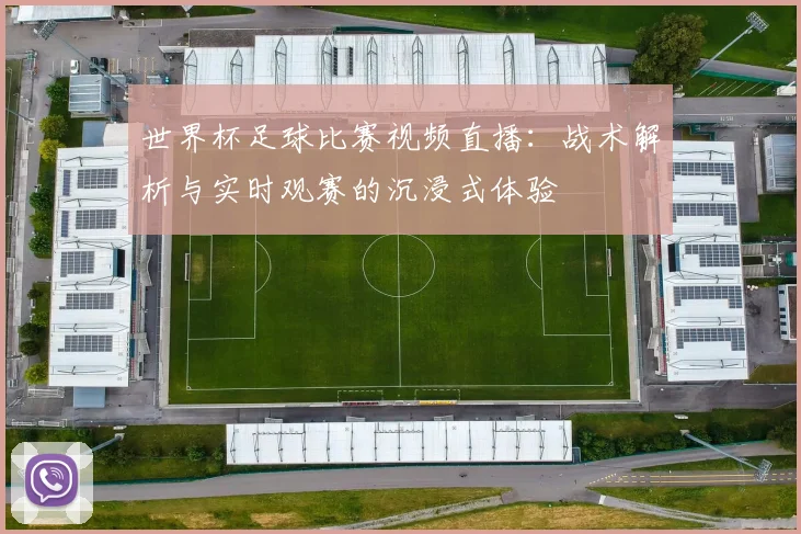 世界杯足球比赛视频直播：战术解析与实时观赛的沉浸式体验