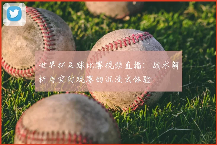 世界杯足球比赛视频直播：战术解析与实时观赛的沉浸式体验